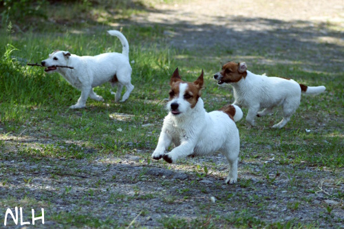 110612 inka lilli eppu2.jpg - Eppu, Inka & Lilli